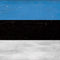 Estonia Flag Distressed Galaxy A10e Clear Case